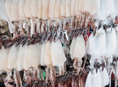 Taze ve kuru mürekkep balığı tel satır üzerinde asılı.