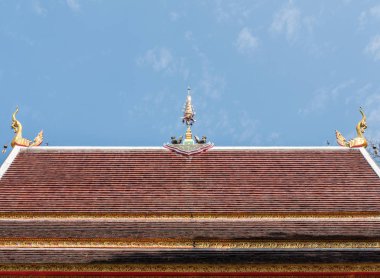 Kilise çatısının üstüne altın kuş heykel.