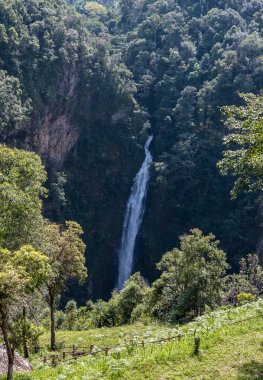 High waterfall from the large cliff to the dale.