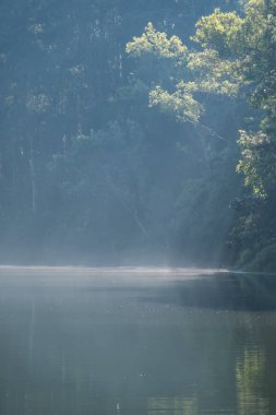 Işık huzmesi, sisle birlikte su yüzeyini aydınlatıyor..