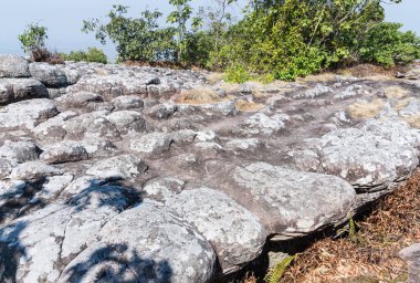 Tayland Milli Parkı 'nın doğal yolları arasındaki çatlak taş tarlası..
