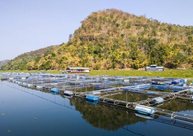 Barajın büyük su deposunda balık yetiştirme kafesi, Tayland 'da yerel bir çiftçi..