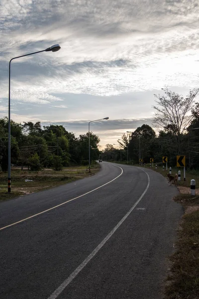 Silueta Carretera Asfalto Local Curva Largo Del Camino Por Mañana — Foto de Stock