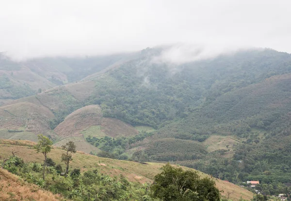 Campo Plantación Del Agricultor Local Alta Montaña Con Niebla Madrugada —  Fotos de Stock