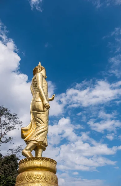 Vista Laterale Della Statua Buddha Piedi Dorato Nel Tradizionale Stile — Foto Stock