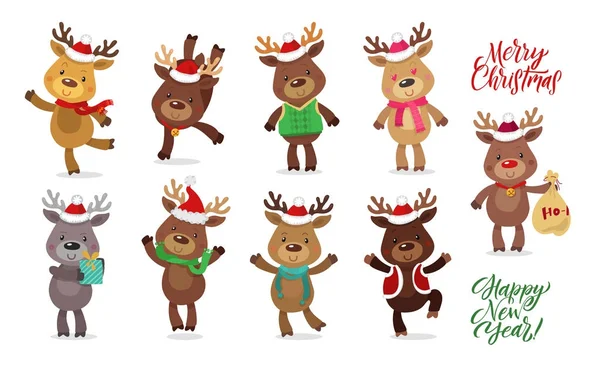 Santas rendieren Set. Vectorillustraties van rendieren geïsoleerd op witte achtergrond. — Stockvector