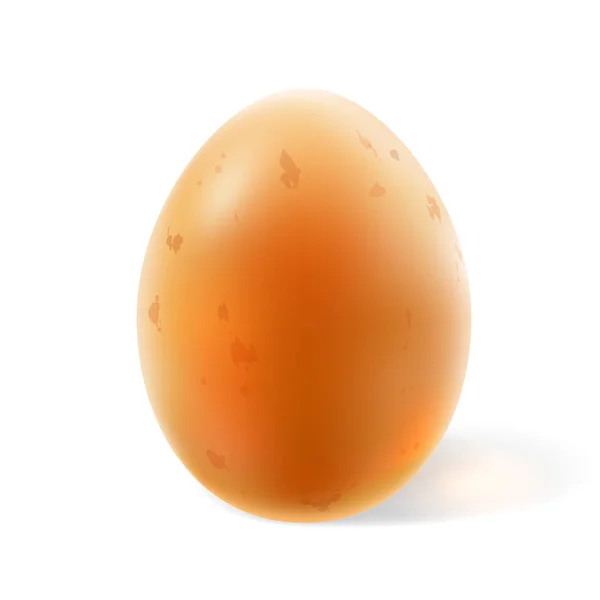 Jasnobrązowe jajo z kurczaka. Ilustracja wektora 3d. — Wektor stockowy