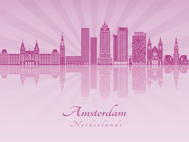 Mor parlak orkide Amsterdam V2 manzarası