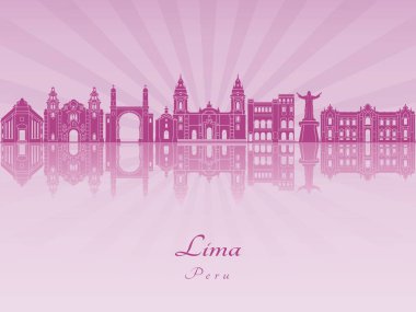 Mor parlak orkide Lima manzarası