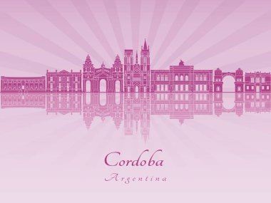 Mor parlak orkide Cordoba Ar skylkine