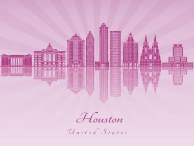 Mor parlak orkide Houston V2 manzarası