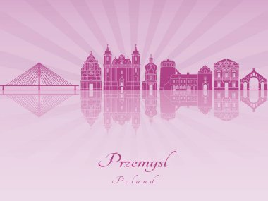 Przemysl manzarası içinde mor parlak orkide