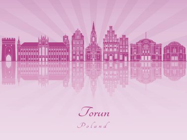 Mor parlak orkide torun manzarası