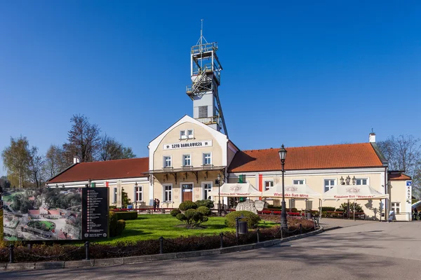 Wieliczka Polandia. Danilowicz Shaft - Museum Tambang Garam — Stok Foto