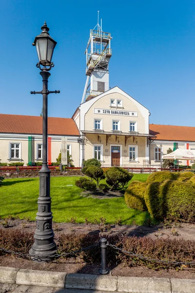 Wieliczka - Pologne. Arbre Danilowicz - Musée de la mine de sel — Photo