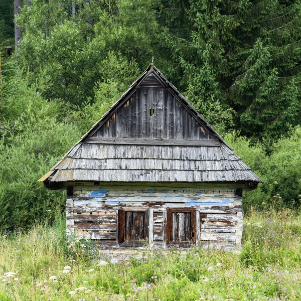 Old abandoned house in the middle of the forest — Stock Photo, Image