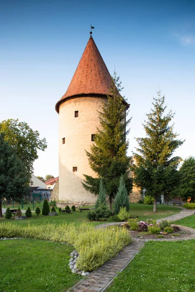 Bardejov Slovakien Augusti 2015 Bardejov Befästningen Torn Bardejov Tornet Och — Stockfoto