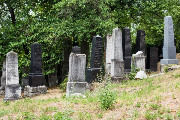 Beckov Burcht Beckov Slowakije Joodse Begraafplaats Buurt Van Beckov Burcht — Stockfoto