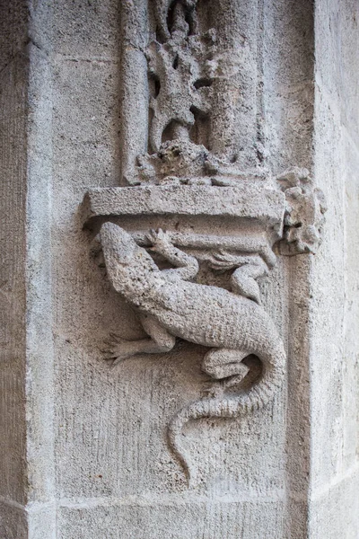 蜥蜴的老细节 刻在斯洛伐克布拉迪斯拉发老城大厅的走廊里 — 图库照片