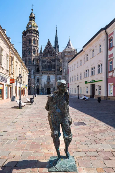 Kosice Slovakia August 2015 Kosice Slovakia Elisabeth Cathedral Julius Jacoby — Stock Photo, Image