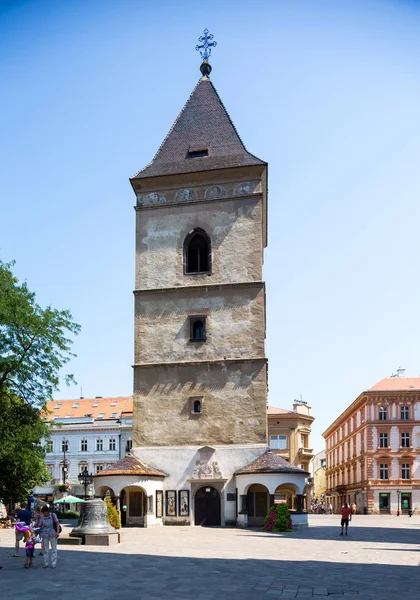 Kosice Slowakije Augustus 2015 Kosice Slowakije Elisabeth Cathedra Grootste Katholieke — Stockfoto