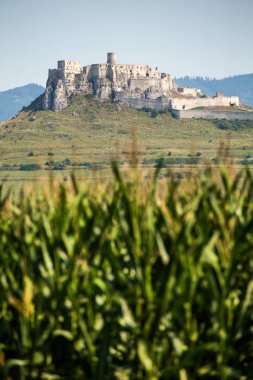 Spisski Hrad, Slovakya. 11 Ağustos 2015. Bir Avrupa'nın en büyük Kalesi kompleksleri. Bu kale hakkında en eski tarihi bilgiler formu 1120 yıl vardır..