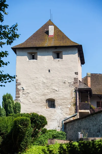 Zvolen Eslovaquia Agosto 2015 Castillo Zvolen Zvolensky Zamok Castillo Zvolen —  Fotos de Stock