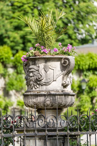 26 de mayo de 2019, Salzburgo, Austria. Mirabell jardín - florero — Foto de Stock