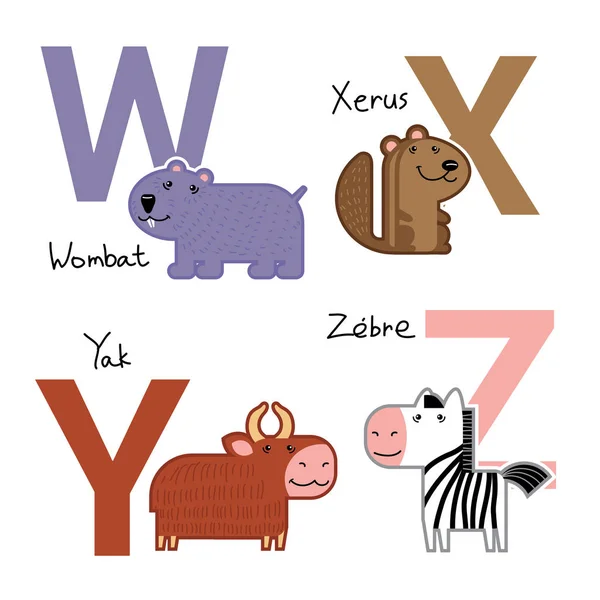 Vektör çizgi film zoo farm Fransız alfabesi parlak büyük harflerle renkli basit çocuksu hayvanlar çocuklar ve çocuk ve el yazısı için Abc eğitim okulu anaokulu kreş Merkezi Zebra wombat yak kelime. — Stok Vektör