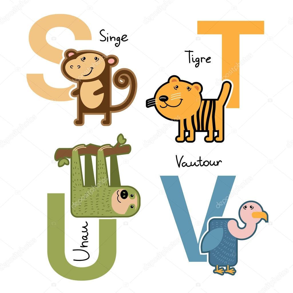 Vector cartoon zoo farm french alphabet Bright big letters Colorful simple childish animals for children and kids and handwriting words ABC for education school kindergarten day care center Monkey Tiger Unau