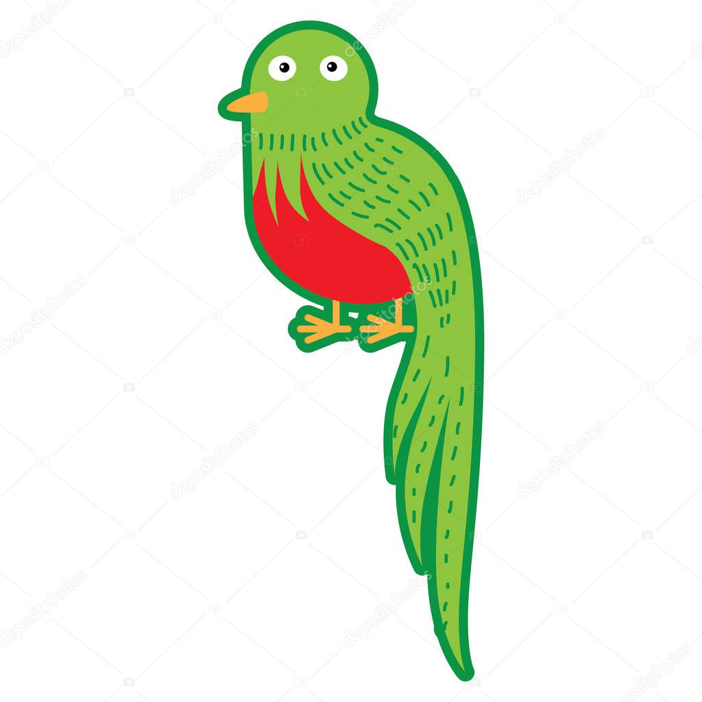 Animal vector illustration isolated on white background. Green and red quetzal bird for kindergarten, elementary school, toy store, kids clothing shop. Logotype for children brand.