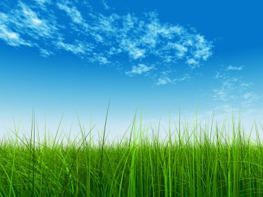  Taze ve doğal çim sahası 