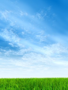  Taze ve doğal çim sahası 