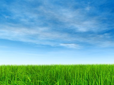  Taze ve doğal çim sahası 