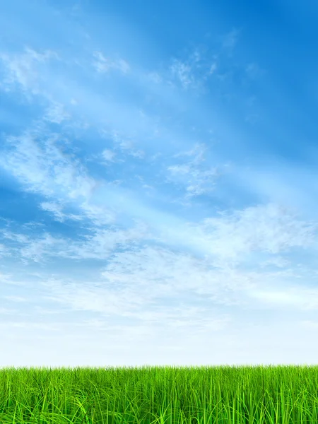  Taze ve doğal çim sahası 