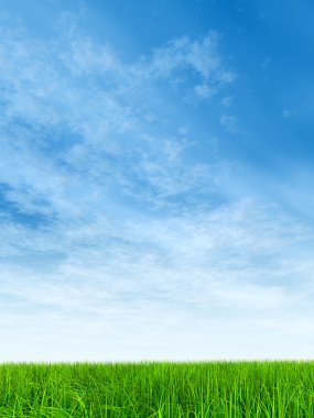  Taze ve doğal çim sahası 