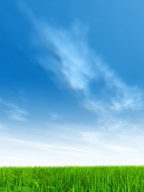  Taze ve doğal çim sahası 