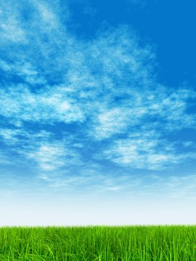  Taze ve doğal çim sahası 