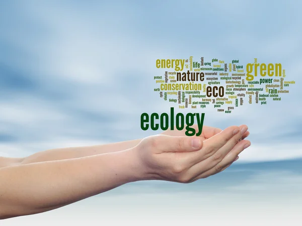 Conservation word cloud text — Stock Photo, Image