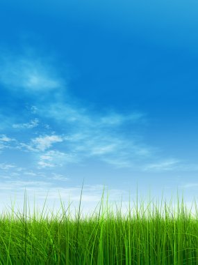  Taze ve doğal çim sahası 