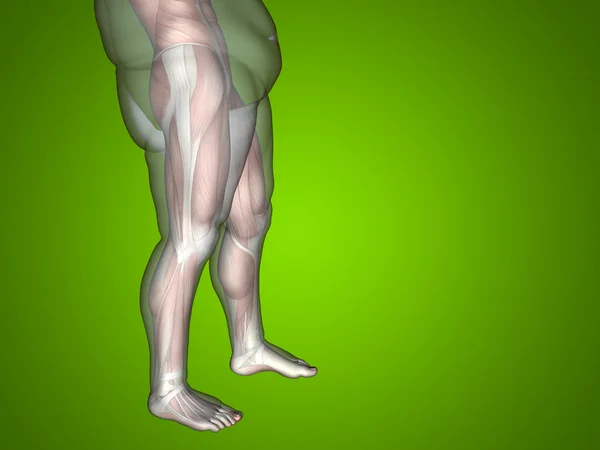 Berat badan vs ramping pria fit — Stok Foto