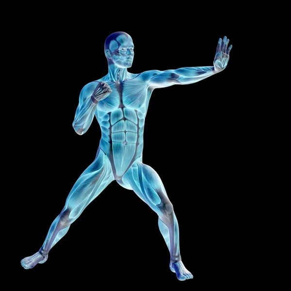 Man met spieren voor anatomie — Stockfoto