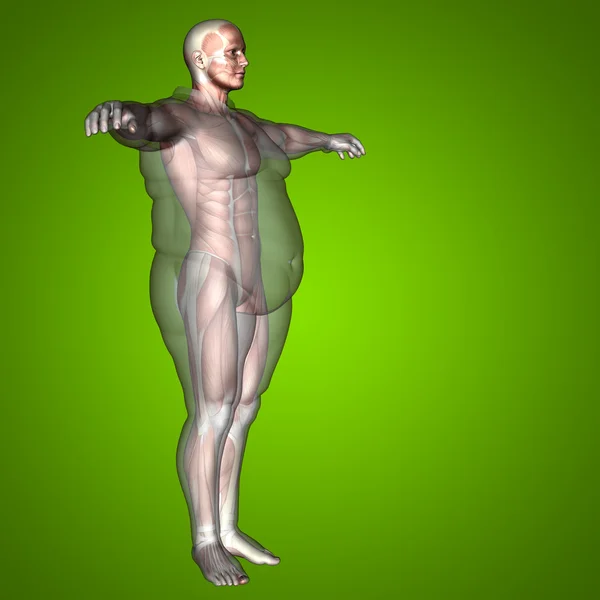 Sovrappeso vs uomo in forma sottile — Foto Stock