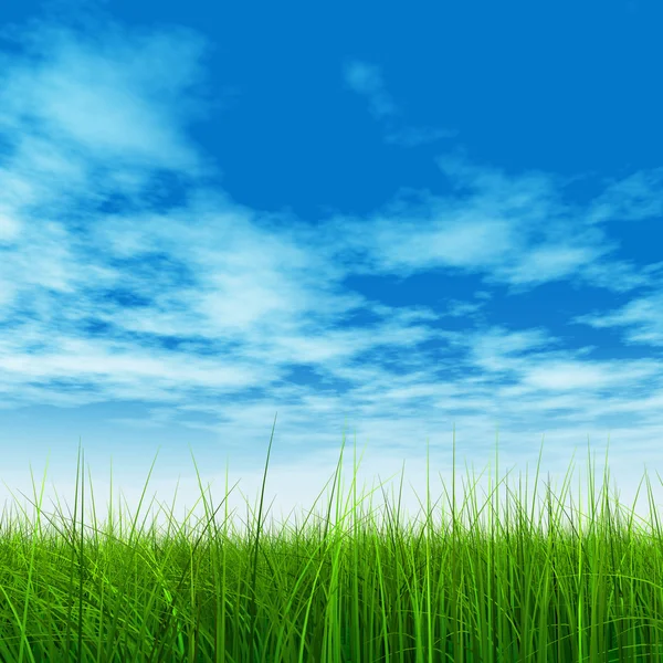 Câmp de iarbă proaspătă și naturală — Fotografie, imagine de stoc