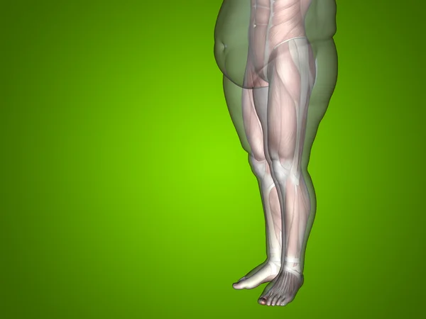 Sobrepeso vs delgado ajuste hombre — Foto de Stock