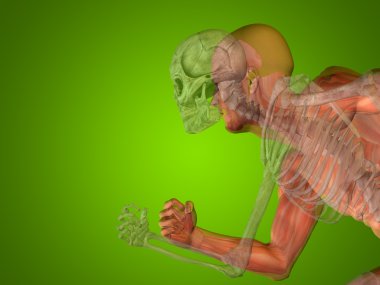 kavramsal insan adam