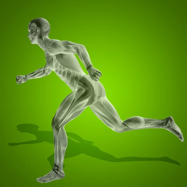Stong människokroppen med muskler — Stockfoto