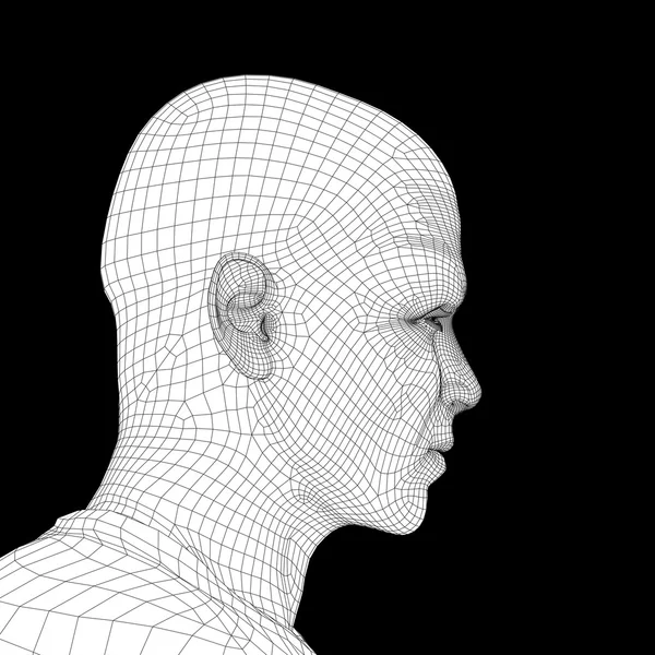 Wireframe joven rostro humano — Foto de Stock