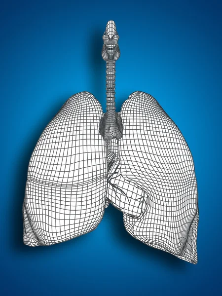 Sistema respiratório de malha — Fotografia de Stock