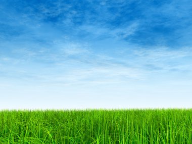  Taze ve doğal çim sahası 